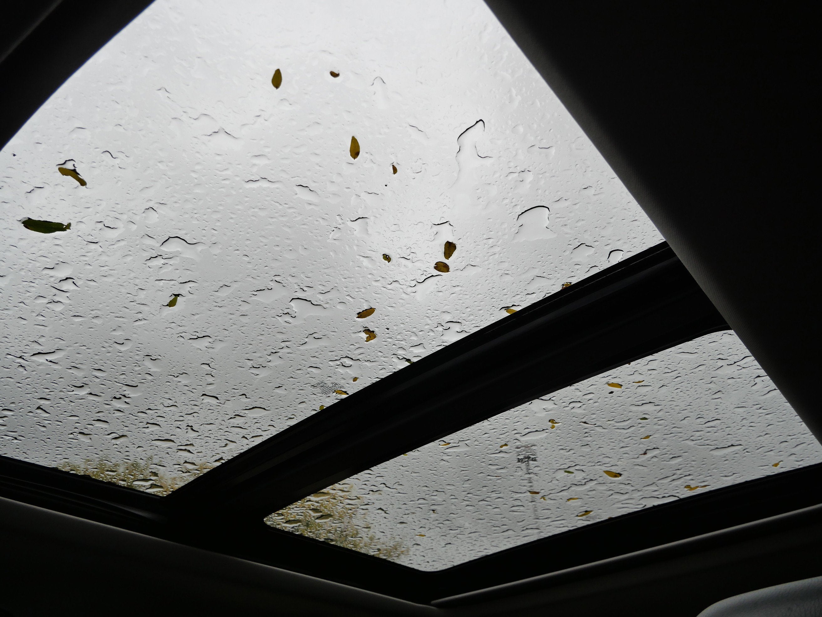 2020 Ford Super Duty F-350 SRW XL